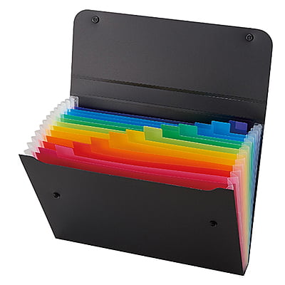 Sekisei Ad One Rainbow Document File A4 Black